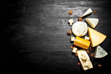 Peynir fındık ile farklı parçalar.