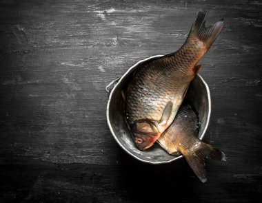 Eski tencereye balık.