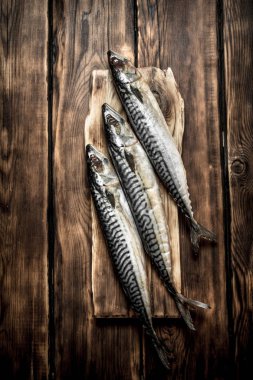 Gemide çiğ balık.