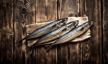 Gemide çiğ balık.