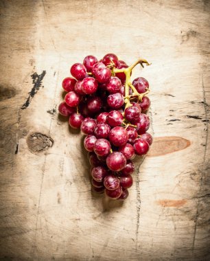 Taze kırmızı üzüm Şubesi.