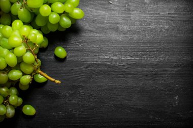 beyaz üzüm Şubesi.