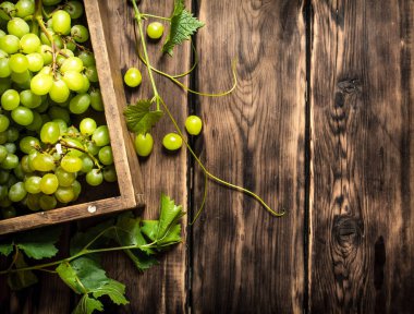 Beyaz üzüm asma dalları kutusunda ile.