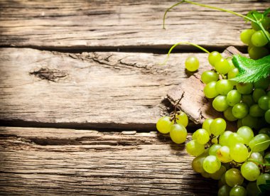 beyaz üzüm.