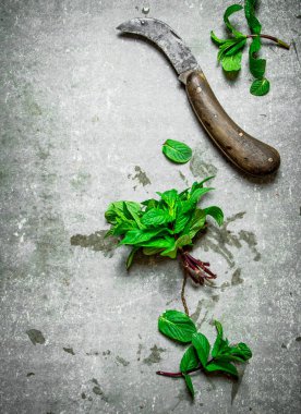 Demet nane eski bıçak.