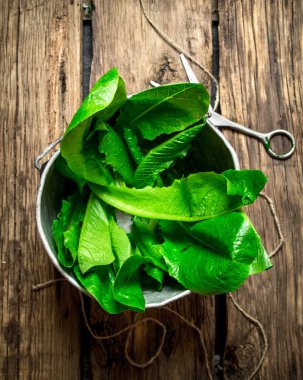 Eski bir tencerede taze otlar.