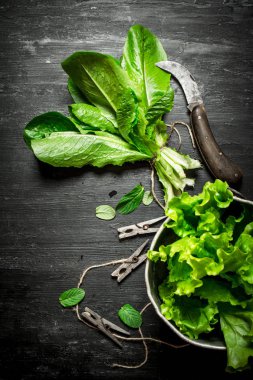 Eski bir bıçak ile taze otlar.