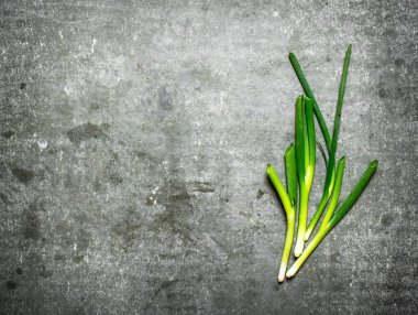 Yeşil taze soğan.