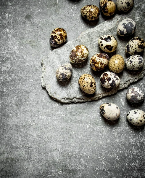 Перепелиные яйца . — стоковое фото