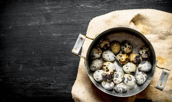 Quail eggs in an old pot. — Stock Photo, Image