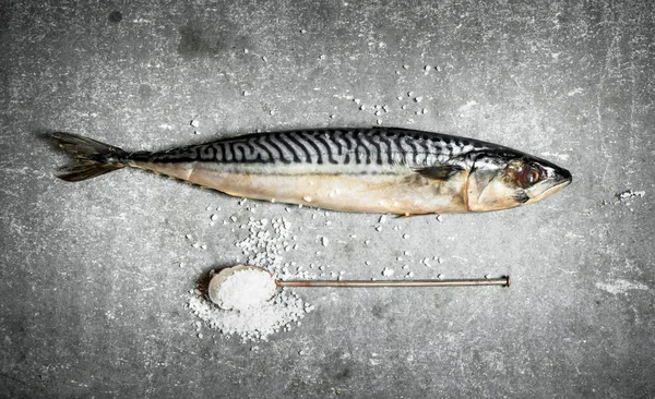 Сырая рыба с ложкой соли . — стоковое фото