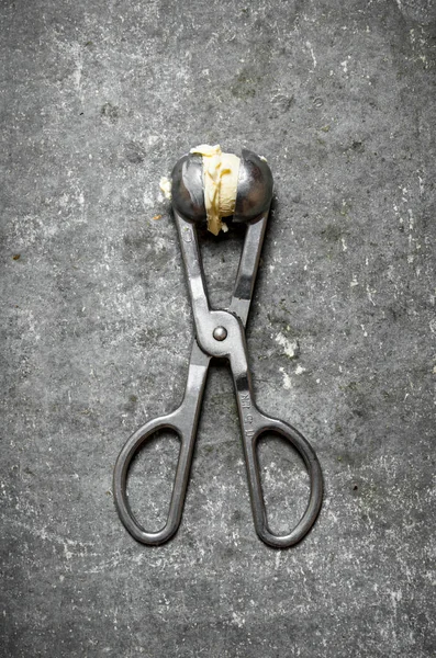 Butter in a special scissors. — Stock Photo, Image