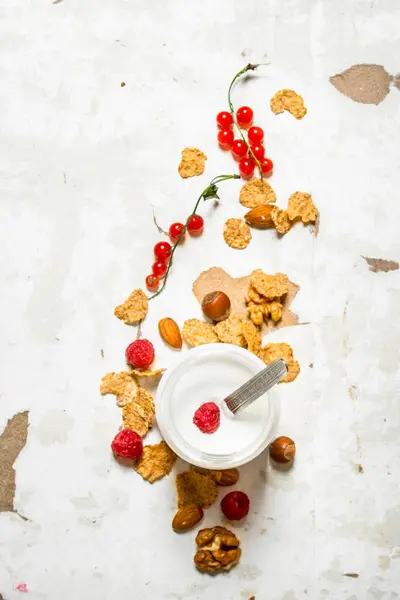 Sobremesa de leite com cereais, nozes e bagas silvestres . — Fotografia de Stock