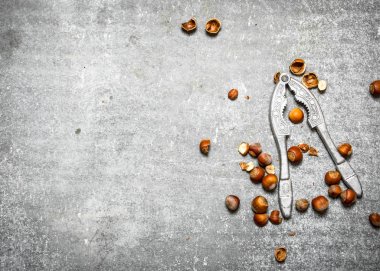 Fındıkkıran ile fındık .