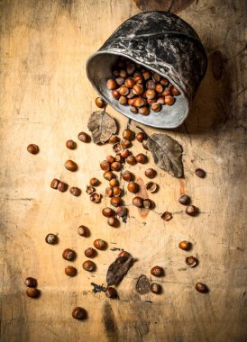 Eski tencerede fındık.