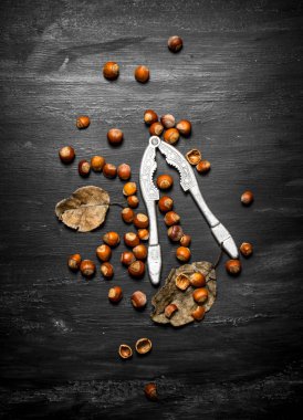 Fındıkkıran fındık ve kurutulmuş yaprakları ile.