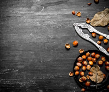 Fındıkkıran fındık ve kurutulmuş yaprakları ile.