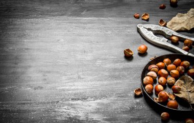 Fındıkkıran fındık ve kurutulmuş yaprakları ile.