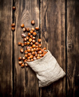 Eski çanta içinde fındık.