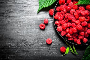 Yabani Ahududu yaprakları eski plaka ile.