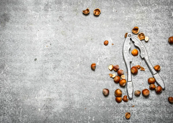 Fındıkkıran ile fındık .