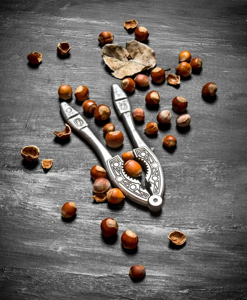 Fındıkkıran fındık ve kurutulmuş yaprakları ile.