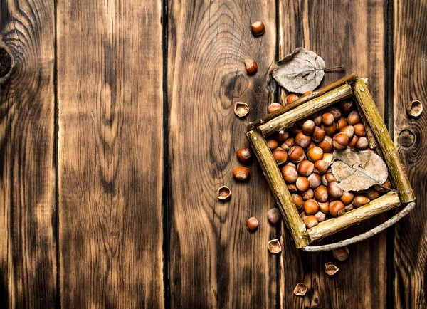 Орехи в корзине с сухими листьями . — стоковое фото
