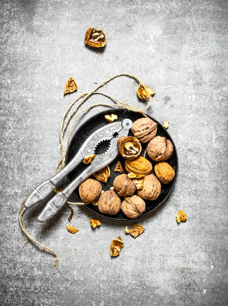 Fındıkkıran kase ceviz.