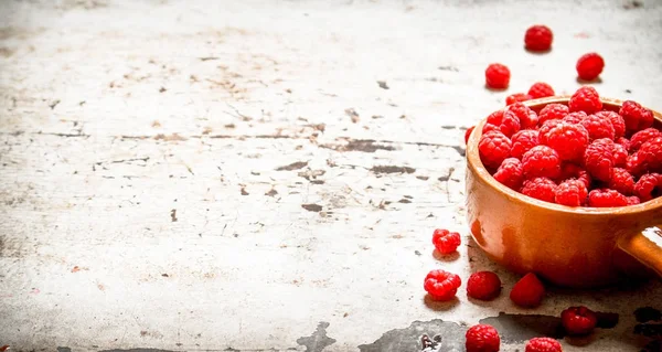 Yabani ahududu Kupası.