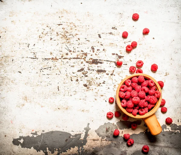 Yabani ahududu Kupası.