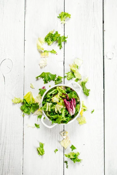 Yeşil taze salata bir kase.