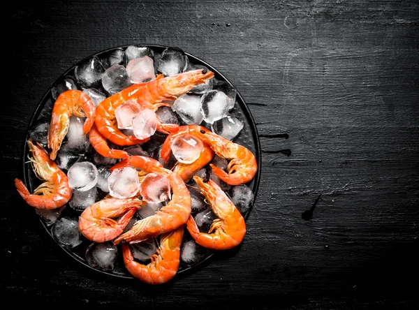 Plaka üzerinde buz ile karides.