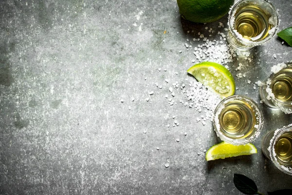 Tequila limetin ja suolan kanssa . — kuvapankkivalokuva