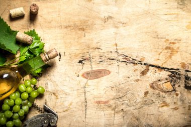 bir asma ile beyaz şarap .