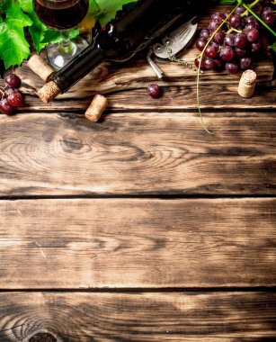 Kırmızı şarap bir asma dalı ile.