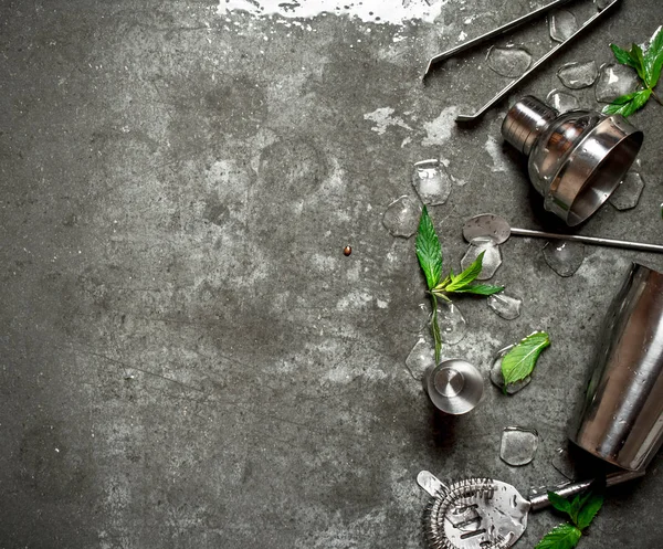 Set para coctelera con hojas de menta . — Foto de Stock