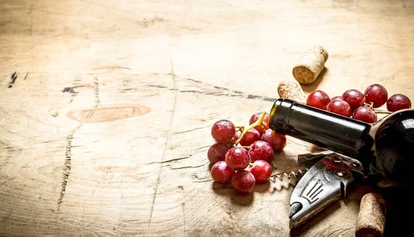 Vin rouge avec tire-bouchon, raisins et bouchons . — Photo