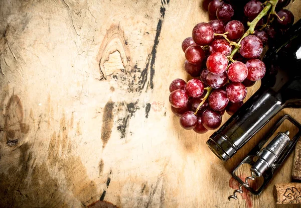 Garrafa de vinho tinto com uvas — Fotografia de Stock