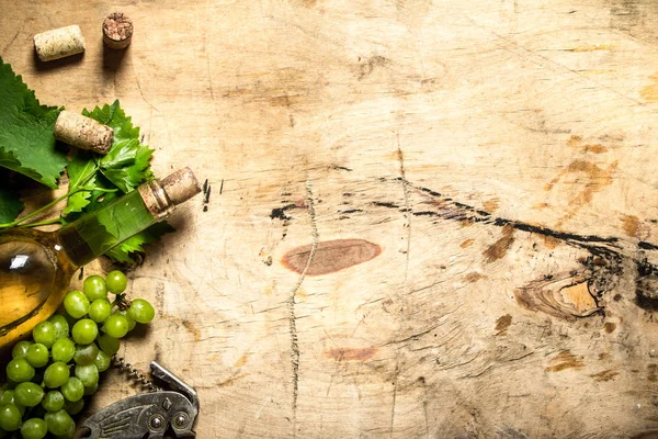 bir asma ile beyaz şarap .