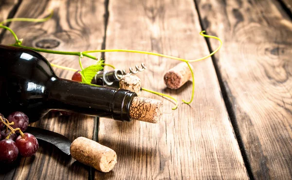 Vin rouge avec une branche de vigne  . — Photo