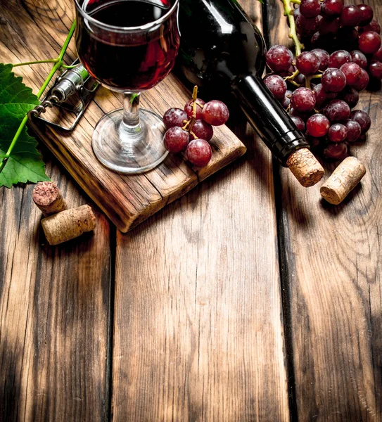 つる枝を持つ赤ワイン. — ストック写真
