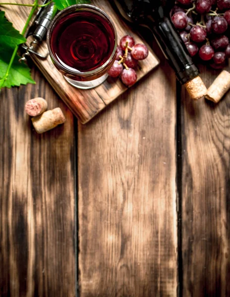 つる枝を持つ赤ワイン. — ストック写真