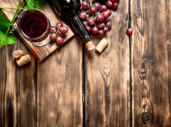 Czerwone wino z gałąź winorośli. — Zdjęcie stockowe