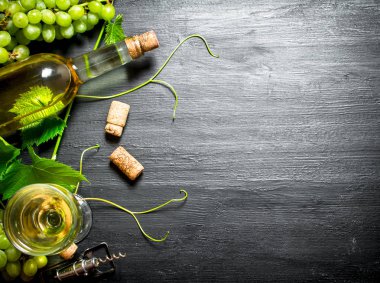 bir asma ile beyaz şarap.