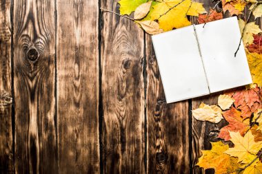 eski kitaplar ve sonbahar yaprakları.