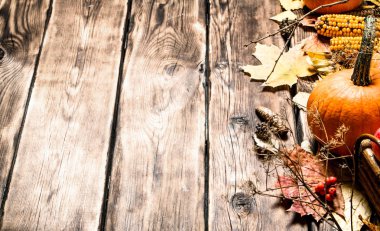 sonbahar meyveleri ve sebzeleri.