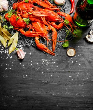 Haşlanmış kerevides baharat ve bir şişe bira.