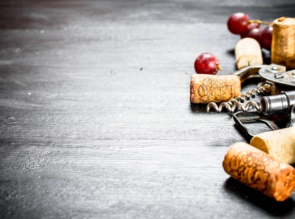 Bouchons à vin avec tire-bouchon et branche de raisin . — Photo