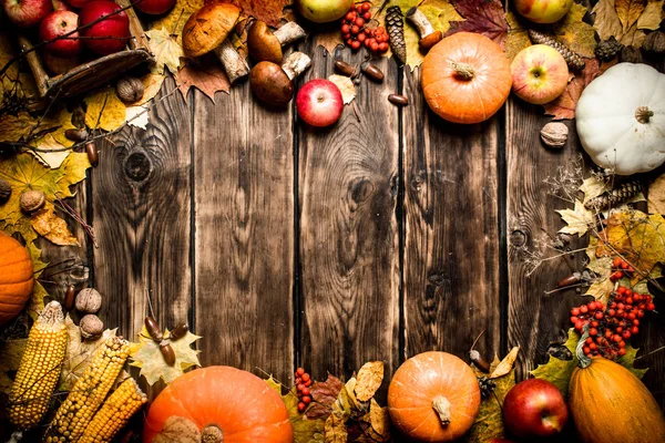 秋の野菜や果物のフレーム. — ストック写真
