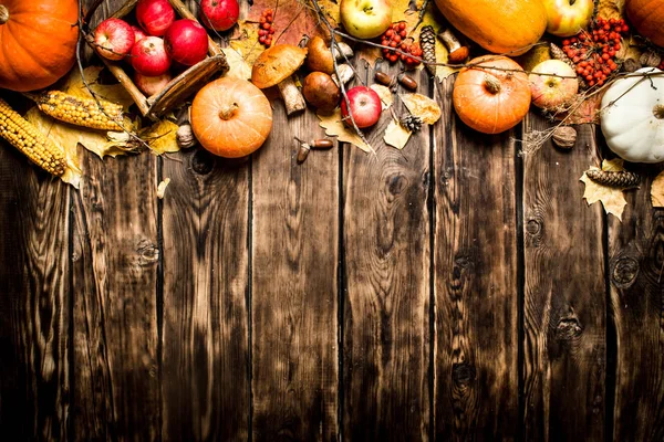 秋の果物と野菜. — ストック写真